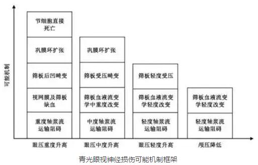 2016年在美国眼科学与视觉科学年会和世界青光眼大会上，与会者均就眼颅压力梯度问题进行了主题研讨，并且特别召开了“眼颅压力梯度相关疾病环球高峰论坛”，对眼颅压力梯度在青光眼领域可能产生的临床指导作用进行了讨论，专家们提出了建议并达成了部分共识。2.jpg