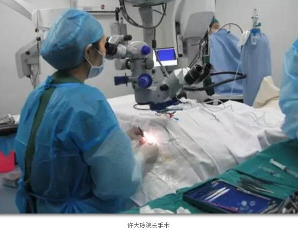 李老太在毫无征兆的情况下右眼视力下降至看不见东西。李老太家人带其至县医院就诊。医生诊断为视网膜脱离，需做玻切手术医治，而玻切手术需要动手术2次。怕疼的李老太一听就犯怵了：开刀，疼。 终，李老太的家人在多方打听后决定带李老太至宜昌8868在线官网登录平台 - 8868网页版登录找许大玲院长医治3.jpg
