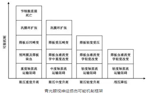 8868登录平台学术课堂：眼颅压力梯度在青光眼视神经损伤机制中作用2.png