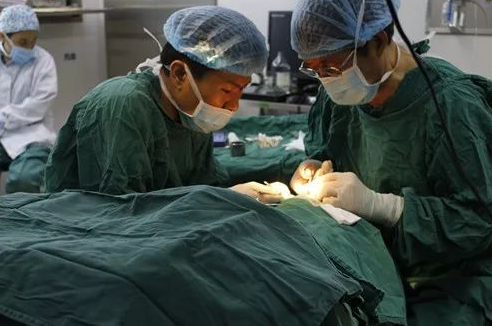 成都8868在线官网登录平台 - 8868网页版登录 为不慎铁屑飞入眼内的患者小黄手术，成都商报同时也对此进行了详细报道。成都8868在线官网登录平台 - 8868网页版登录院长罗清礼教授告诉成都商报客户端记者，磁铁取金属异物在医疗手术中较为常见，但细分到眼科领域较为罕见。3.png