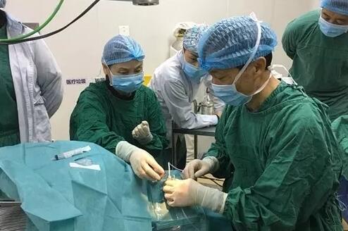 2018年即将结束，这一年，成都8868在线官网登录平台 - 8868网页版登录以规范的诊疗、高明的技艺、 的服务，赢得了广大患者朋友和社会各界的好评。在2018年，成都8868在线官网登录平台 - 8868网页版登录在发展的道路上有哪些大事记呢，让我们一起来回顾。18.jpg