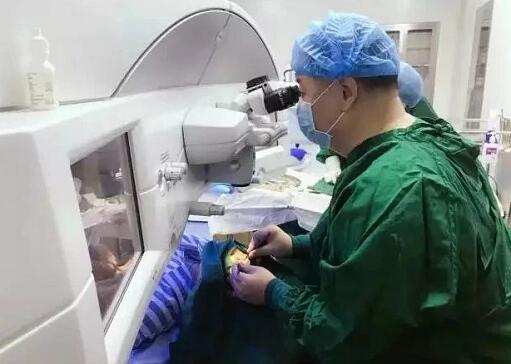 甘肃中医药大学附属兰州眼科中心主任、兰州8868在线官网登录平台 - 8868网页版登录院长燕振国教授荣获SMILE近视手术质量贡献奖！2.jpg