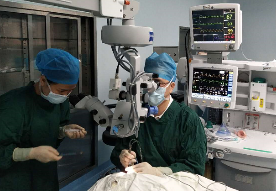 厦门眼科中心白内障专科毛祖红主任迎难而上：为痴呆老人做白内障手术1.png