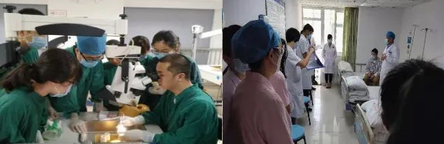 新春捷报！全国GCP机构药物临床试验量值排行榜盛大出炉，8868登录平台集团本部厦门眼科中心跻身眼科十*榜3.png